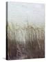 Through the Dunes II-Pam Ilosky-Stretched Canvas