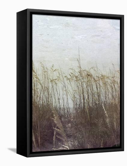 Through the Dunes II-Pam Ilosky-Framed Stretched Canvas
