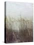 Through the Dunes II-Pam Ilosky-Stretched Canvas