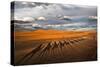 Through the Dunes of Merzouga (Morocco).-Joxe Inazio-Stretched Canvas