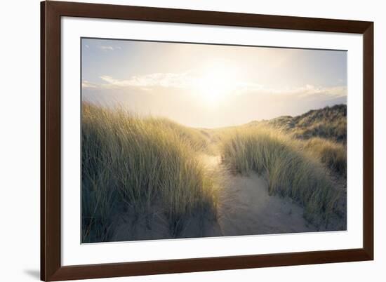 Through the Dunes-Steve Docwra-Framed Giclee Print