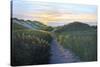 Through the Dunes-Bruce Dumas-Stretched Canvas