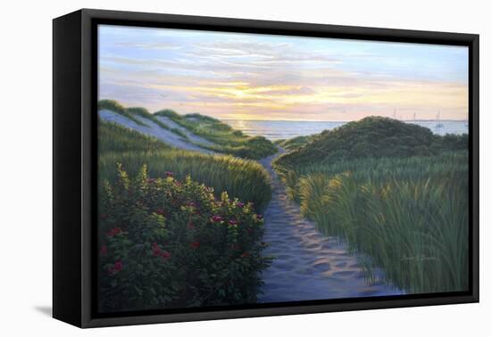 Through the Dunes-Bruce Dumas-Framed Stretched Canvas