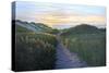 Through the Dunes-Bruce Dumas-Stretched Canvas