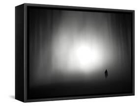 Through the Fog-Josh Adamski-Framed Stretched Canvas