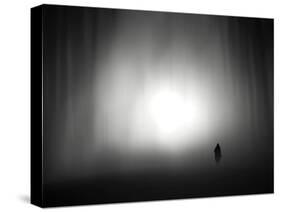 Through the Fog-Josh Adamski-Stretched Canvas