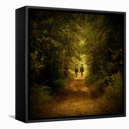 Through the Forst-Peter Polter-Framed Stretched Canvas