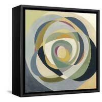 Through the Glass II-Megan Meagher-Framed Stretched Canvas