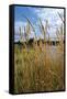 Through the Grass I-Brian Moore-Framed Stretched Canvas