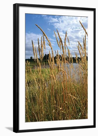 Through the Grass I-Brian Moore-Framed Premium Photographic Print