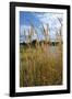 Through the Grass I-Brian Moore-Framed Premium Photographic Print