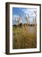 Through the Grass I-Brian Moore-Framed Photographic Print