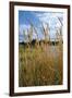 Through the Grass I-Brian Moore-Framed Photographic Print