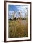 Through the Grass I-Brian Moore-Framed Photographic Print