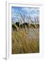 Through the Grass II-Brian Moore-Framed Photographic Print