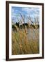 Through the Grass II-Brian Moore-Framed Photographic Print