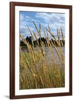 Through the Grass II-Brian Moore-Framed Photographic Print