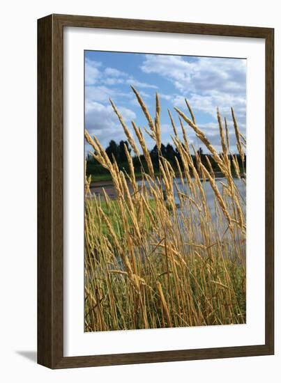 Through the Grass II-Brian Moore-Framed Photographic Print