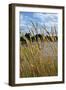 Through the Grass II-Brian Moore-Framed Photographic Print