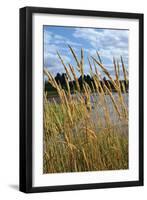 Through the Grass II-Brian Moore-Framed Photographic Print