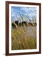 Through the Grass II-Brian Moore-Framed Photographic Print