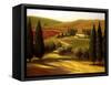 Through the Hills of Tuscany-Tim Howe-Framed Stretched Canvas