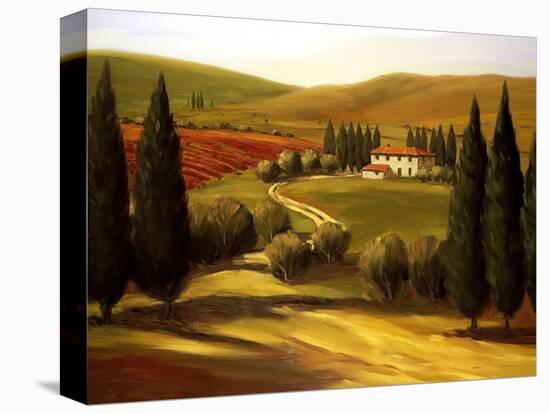 Through the Hills of Tuscany-Tim Howe-Stretched Canvas