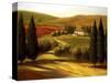 Through the Hills of Tuscany-Tim Howe-Stretched Canvas