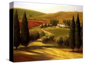 Through the Hills of Tuscany-Tim Howe-Stretched Canvas