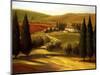 Through the Hills of Tuscany-Tim Howe-Mounted Giclee Print