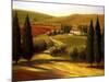 Through the Hills of Tuscany-Tim Howe-Mounted Giclee Print