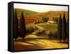 Through the Hills of Tuscany-Tim Howe-Framed Stretched Canvas