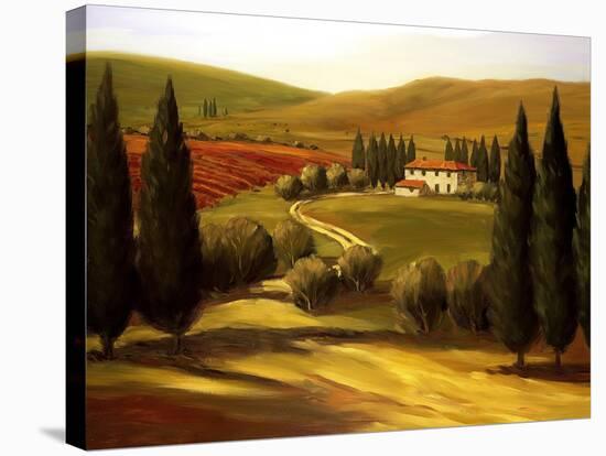 Through the Hills of Tuscany-Tim Howe-Stretched Canvas