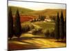 Through the Hills of Tuscany-Tim Howe-Mounted Premium Giclee Print