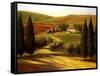 Through the Hills of Tuscany-Tim Howe-Framed Stretched Canvas