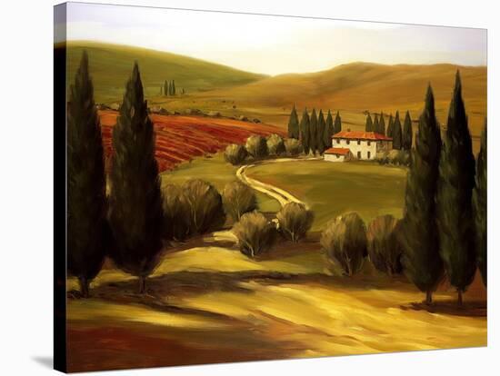 Through the Hills of Tuscany-Tim Howe-Stretched Canvas