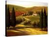 Through the Hills of Tuscany-Tim Howe-Stretched Canvas