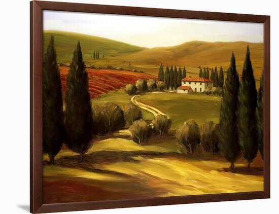 Through the Hills of Tuscany-Tim Howe-Framed Premium Giclee Print