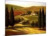 Through the Hills of Tuscany-Tim Howe-Mounted Premium Giclee Print