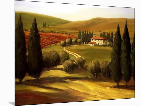 Through the Hills of Tuscany-Tim Howe-Mounted Giclee Print