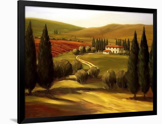 Through the Hills of Tuscany-Tim Howe-Framed Giclee Print