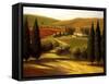 Through the Hills of Tuscany-Tim Howe-Framed Stretched Canvas