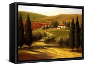 Through the Hills of Tuscany-Tim Howe-Framed Stretched Canvas