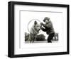 Through The Hoop-null-Framed Giclee Print