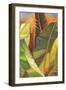 Through the Leaves II-Patricia Pinto-Framed Art Print