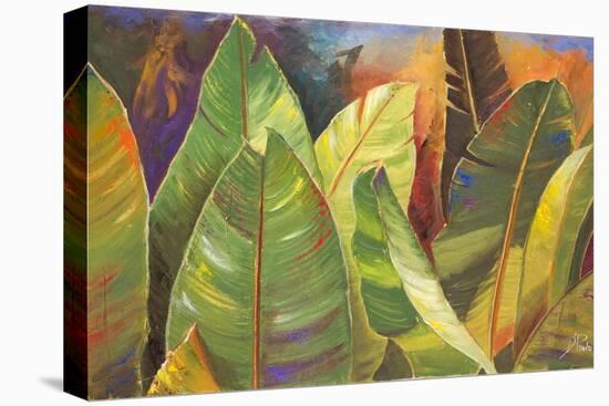 Through the Leaves II-Patricia Pinto-Stretched Canvas