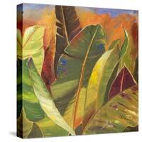 Through the Leaves Square II-Patricia Pinto-Stretched Canvas