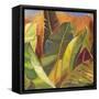 Through the Leaves Square II-Patricia Pinto-Framed Stretched Canvas