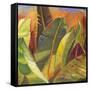 Through the Leaves Square II-Patricia Pinto-Framed Stretched Canvas