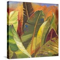 Through the Leaves Square II-Patricia Pinto-Stretched Canvas